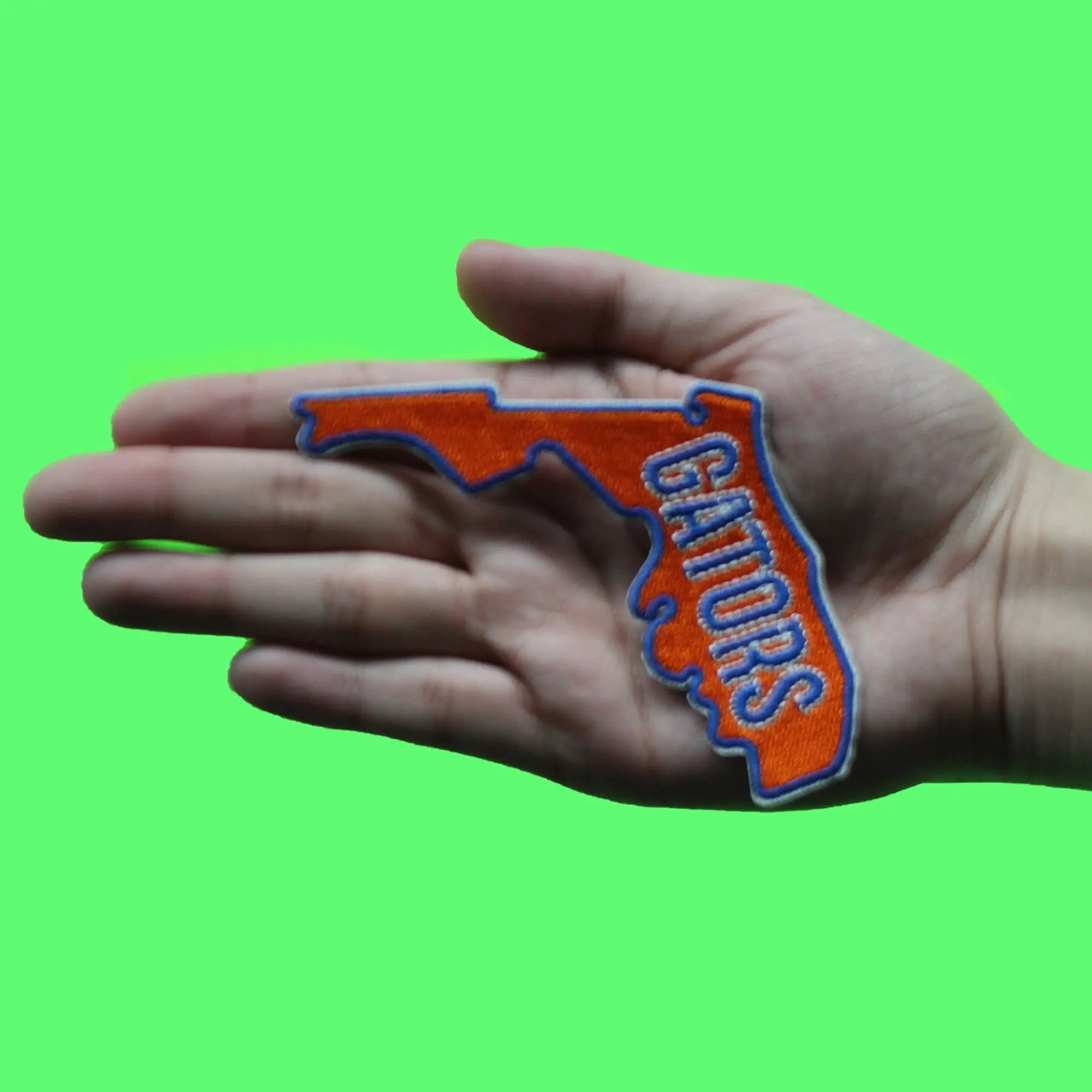 Florida Alligator State Patch College University Student Souvenir Embroidered Iron On