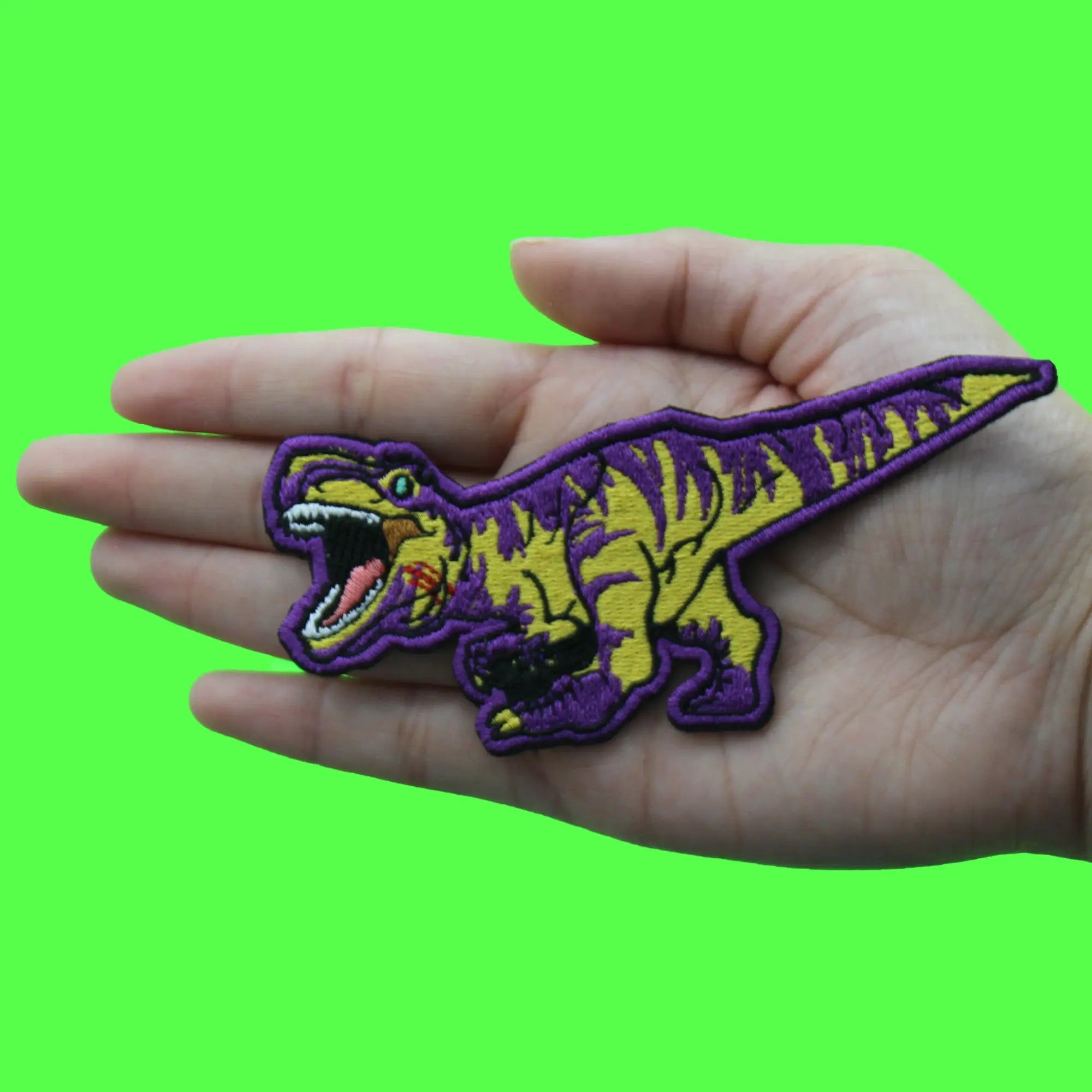 Video Game T-Rex Patch Fighting Dinosaur Rage Embroidered Iron On