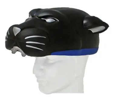 Carolina Panthers Team NFL Foamhead Helmet – Patch Collection