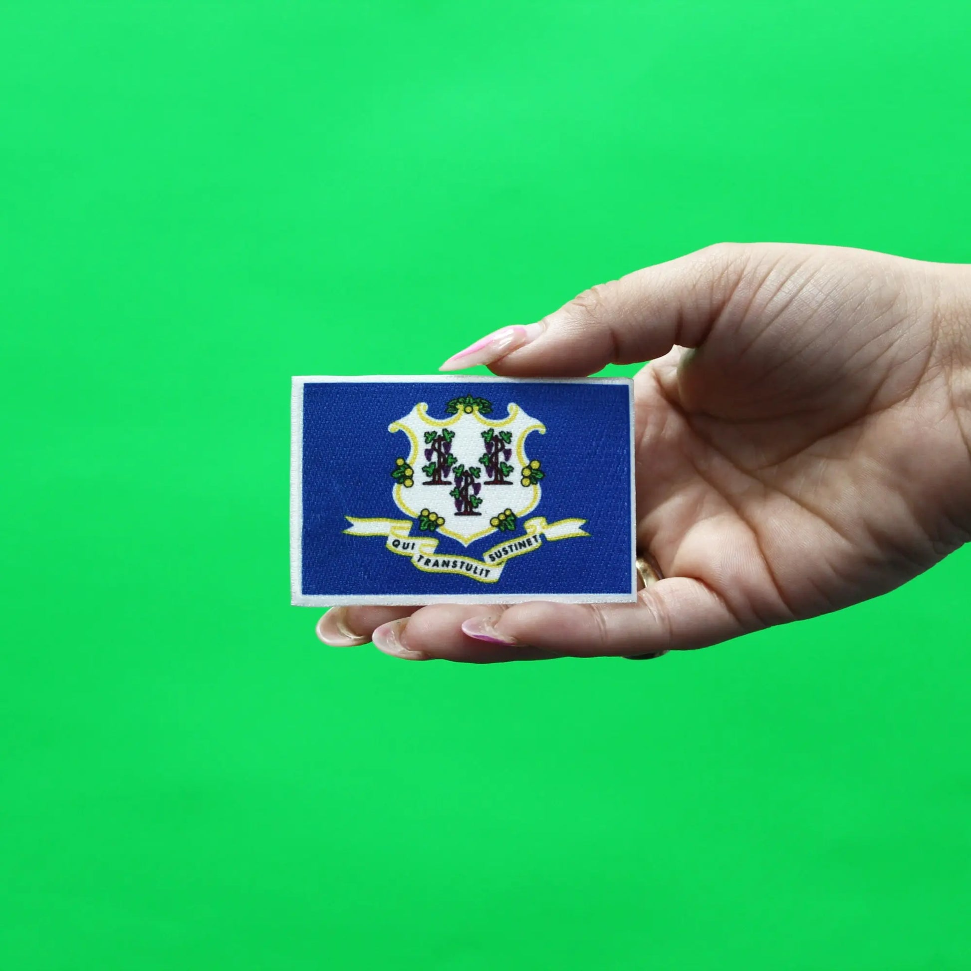 Connecticut Patch State Flag Embroidered Iron On