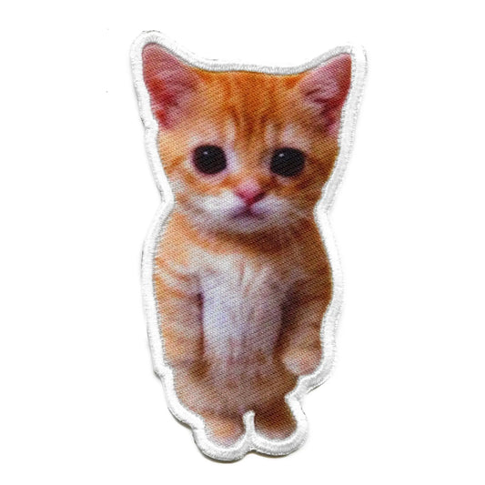 El Gato Cute Cat Foto Patch Animal Sweet Kitten Embroidered Iron On