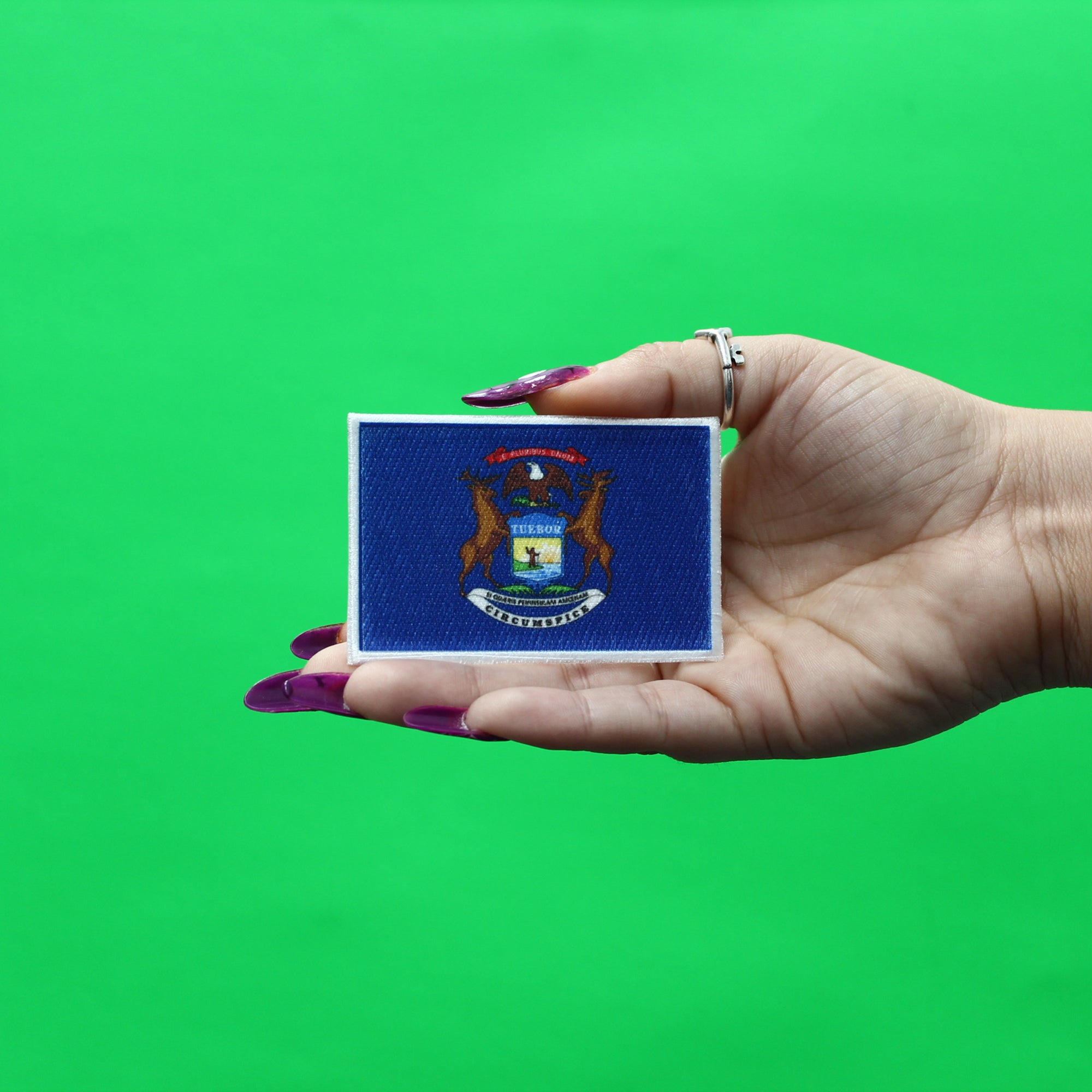 Michigan Patch State Flag Embroidered Iron On