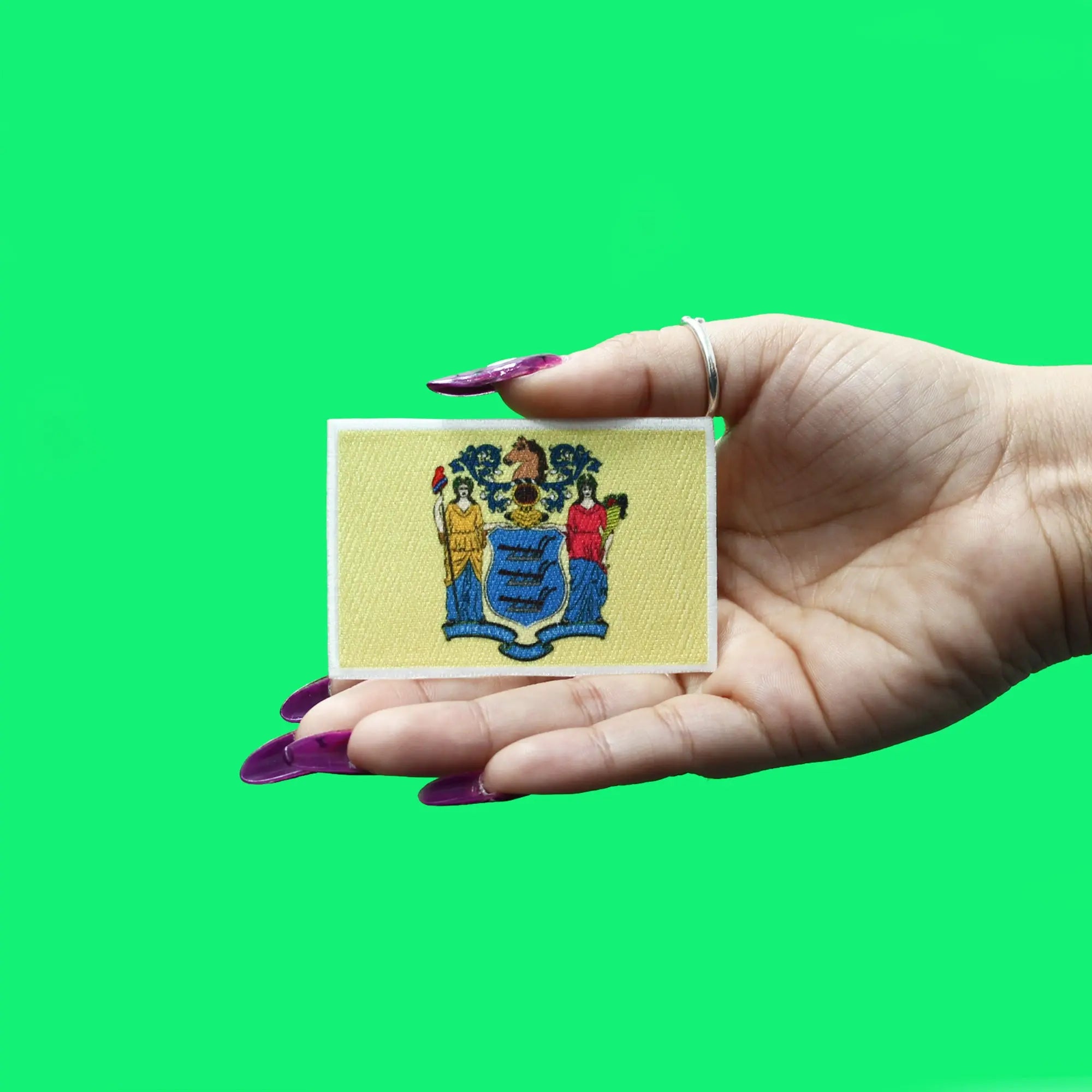 New Jersey Patch State Flag Embroidered Iron On