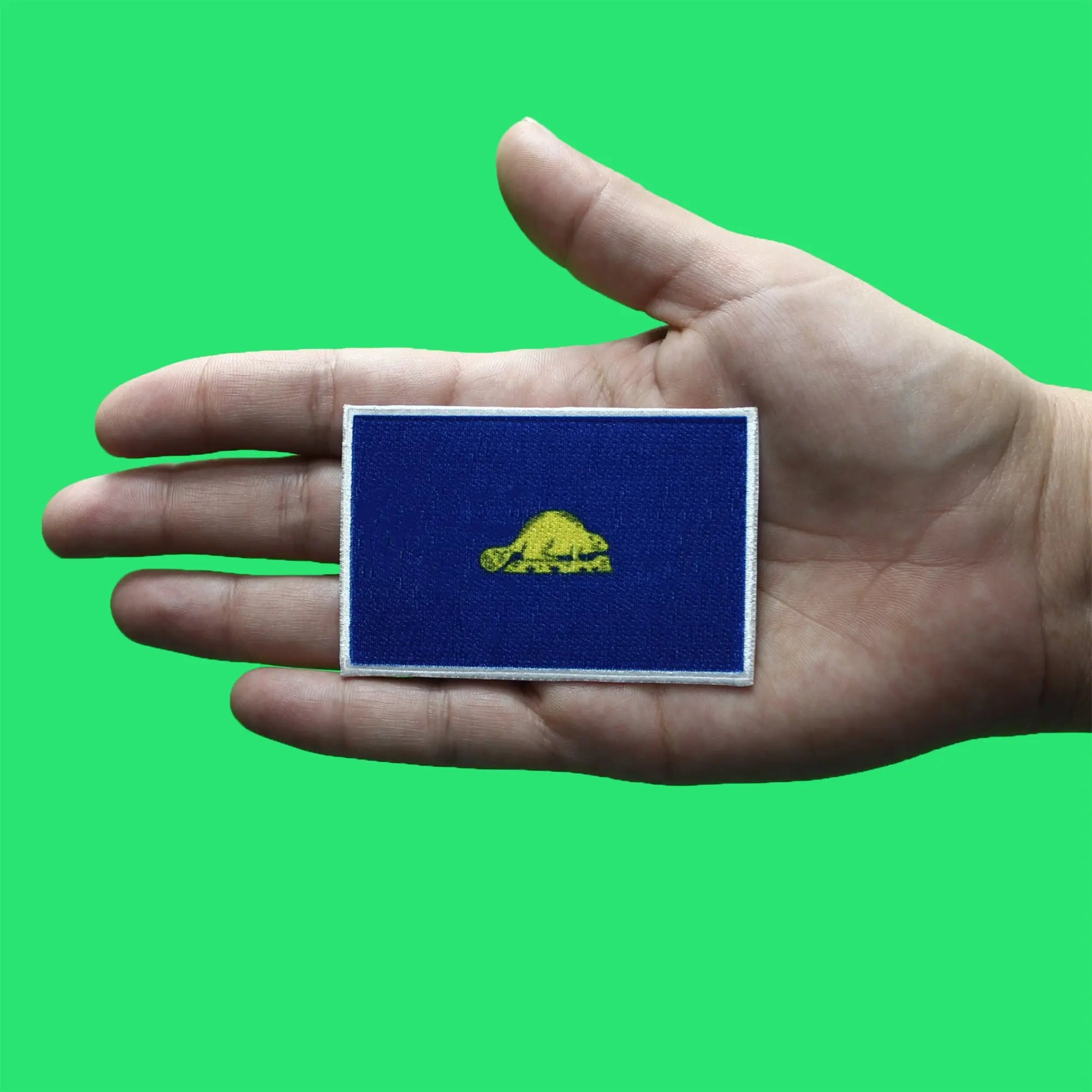 Oregon State Flag Patch Back Embroidered Iron On