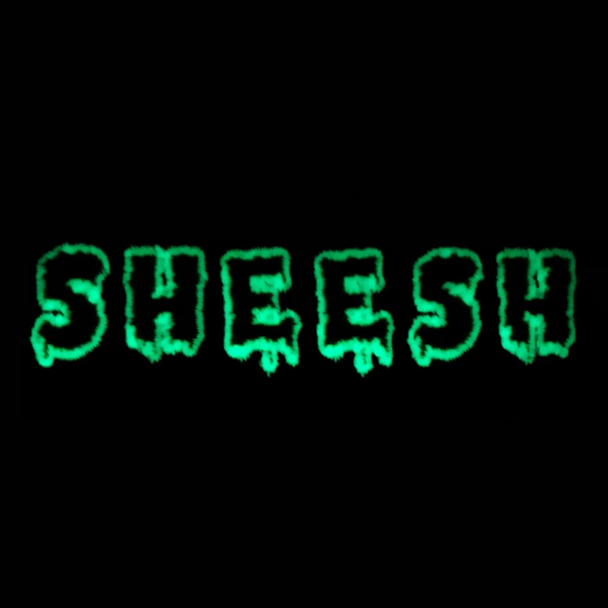 Sheesh Ice In Veins Patch Glow In The Dark Embroidered Iron On