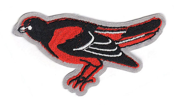 Baltimore Orioles Primary Bird Team MLB Logo Jersey Sleeve Patch Licensed