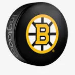 Boston Bruins Basic Collectors NHL Hockey Game Souvenir Puck