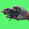 Magic Moon Moth Patch Episodic Drawing Mythology Embroidered Iron On