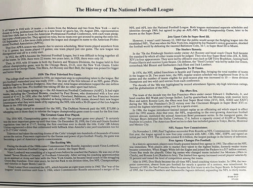 The Official NFL Shield Willabee & Ward Patch National Football League (Discontinued)