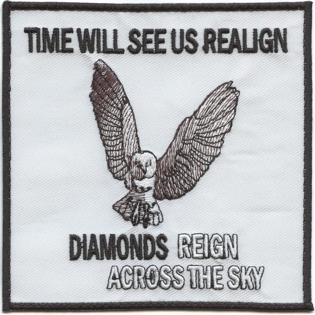 Time Will See Us Realign Patch NuMetal Owl Rock Embroidered Iron On
