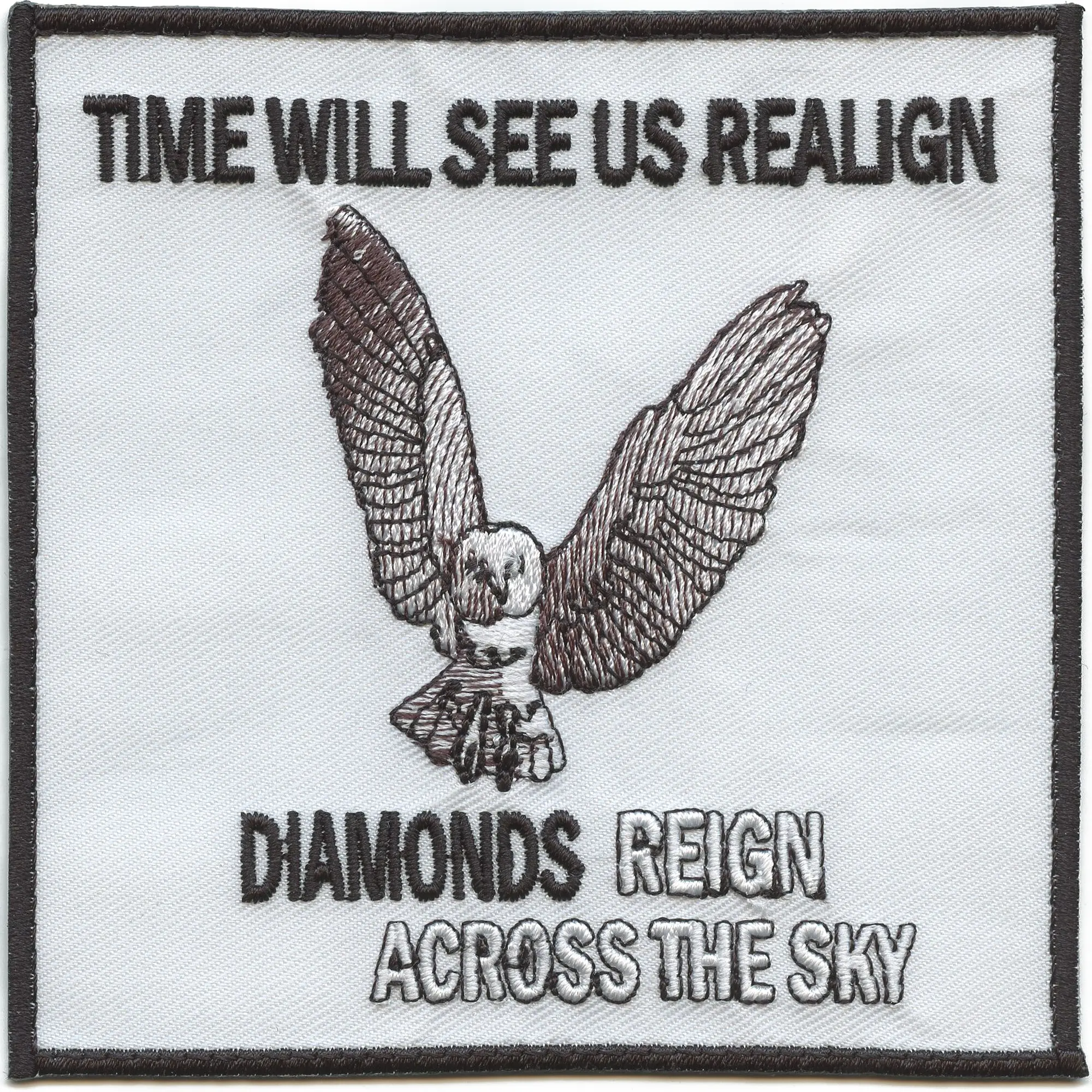Time Will See Us Realign Patch NuMetal Owl Rock Embroidered Iron On
