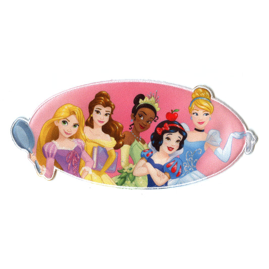 Disney Princess Full Group Iron on Embroidered Applique Patch 