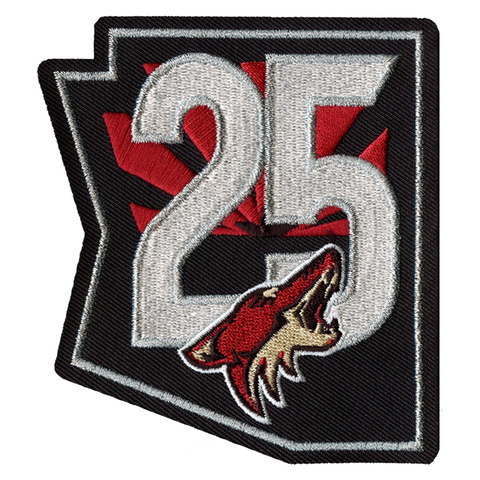 Arizona Coyotes Fanatics Authentic Unsigned 2020-21 25th Anniversary Season National Emblem Jersey Patch
