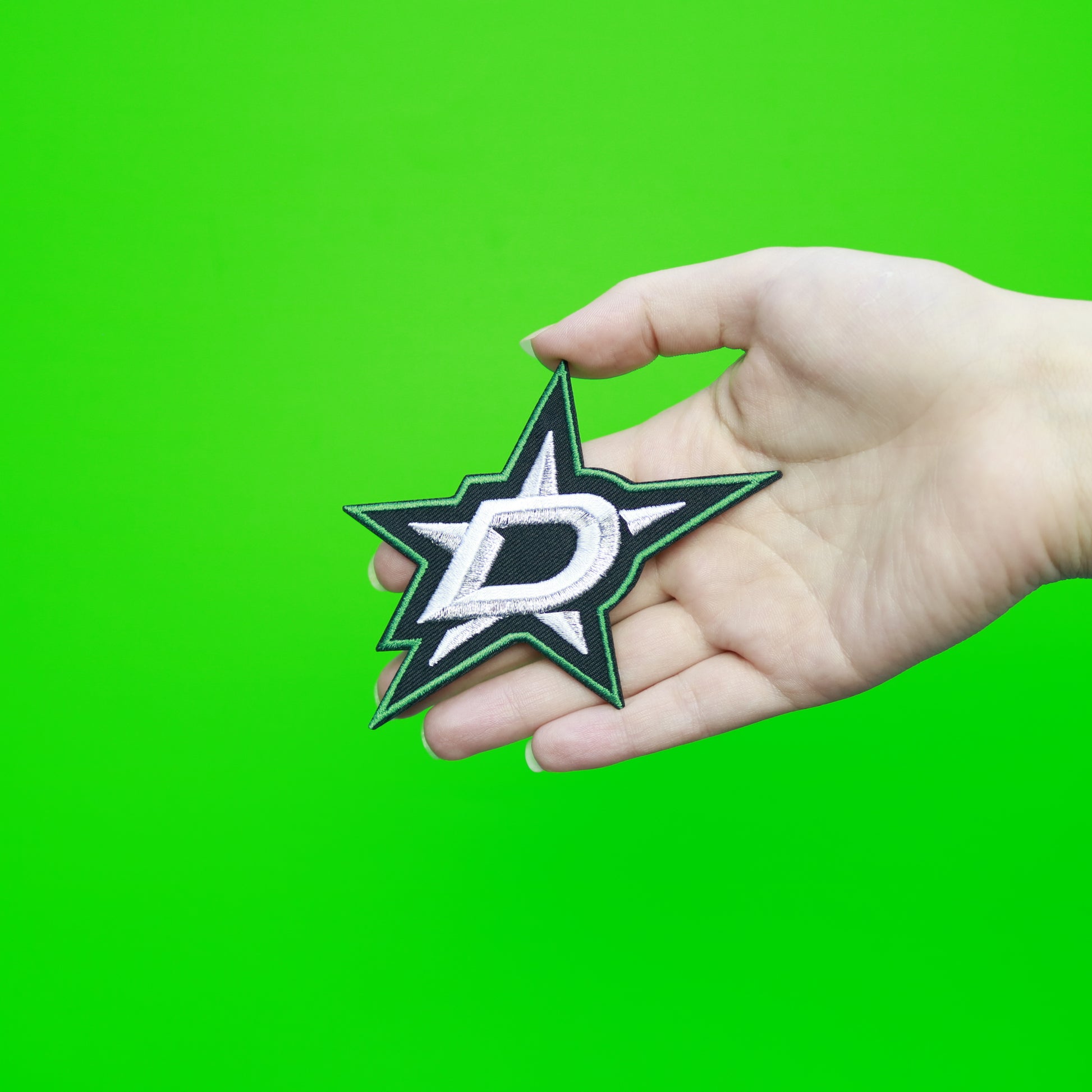 Dallas Stars Primary Team NHL Logo Patch (2013) 
