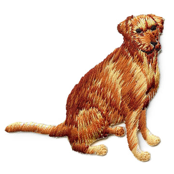 Golden Retriever Embroidered Iron On Patch 