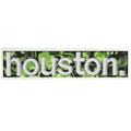Green Skulls City Of Houston Texas Puff Raised Box Logo Embroidered Iron on Patch