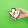 Dallas Texas Lone Star State Embroidered Iron On Patch 