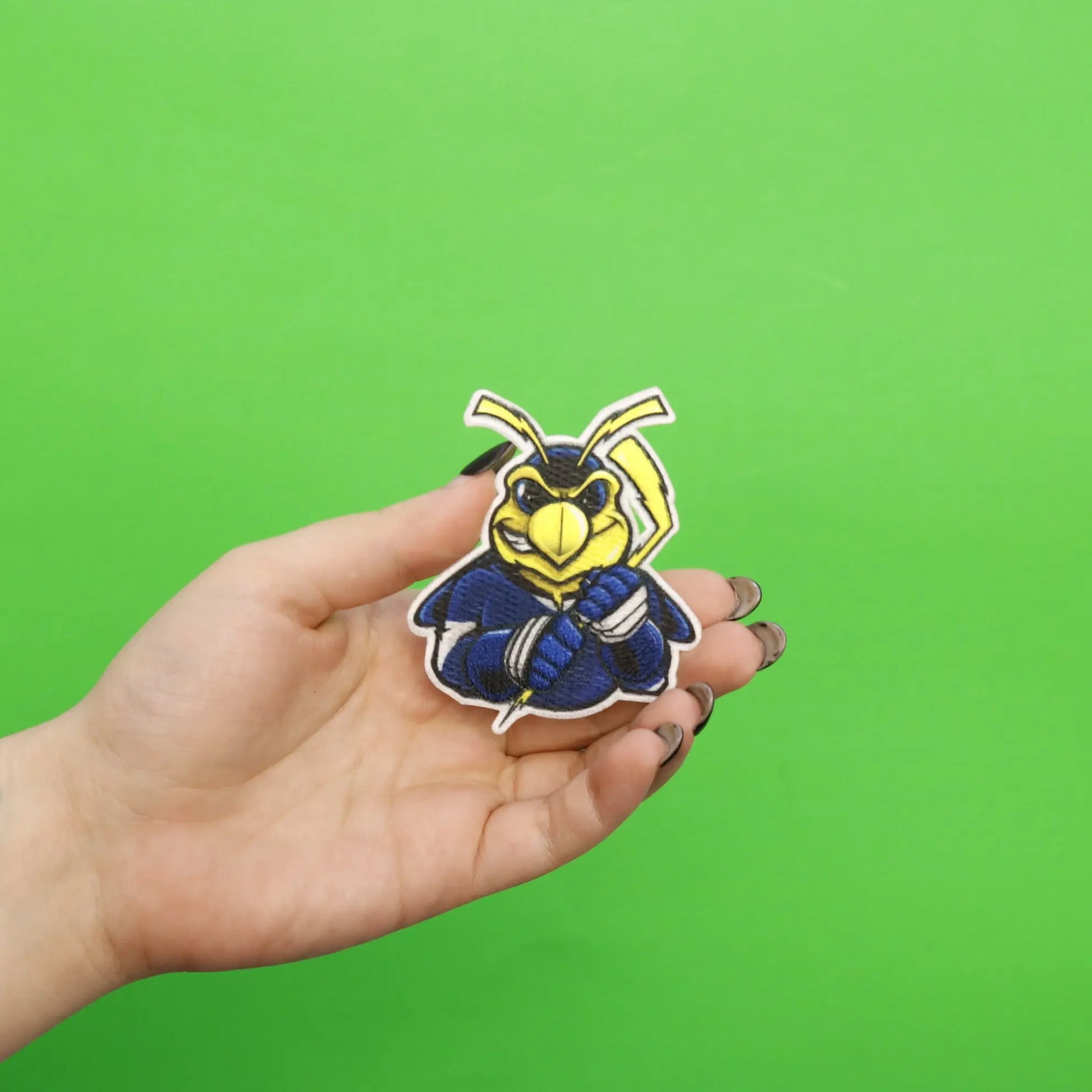Tampa Bay Florida Lightning Bug FotoPatch Mascot Hockey Parody Embroidered Iron On 