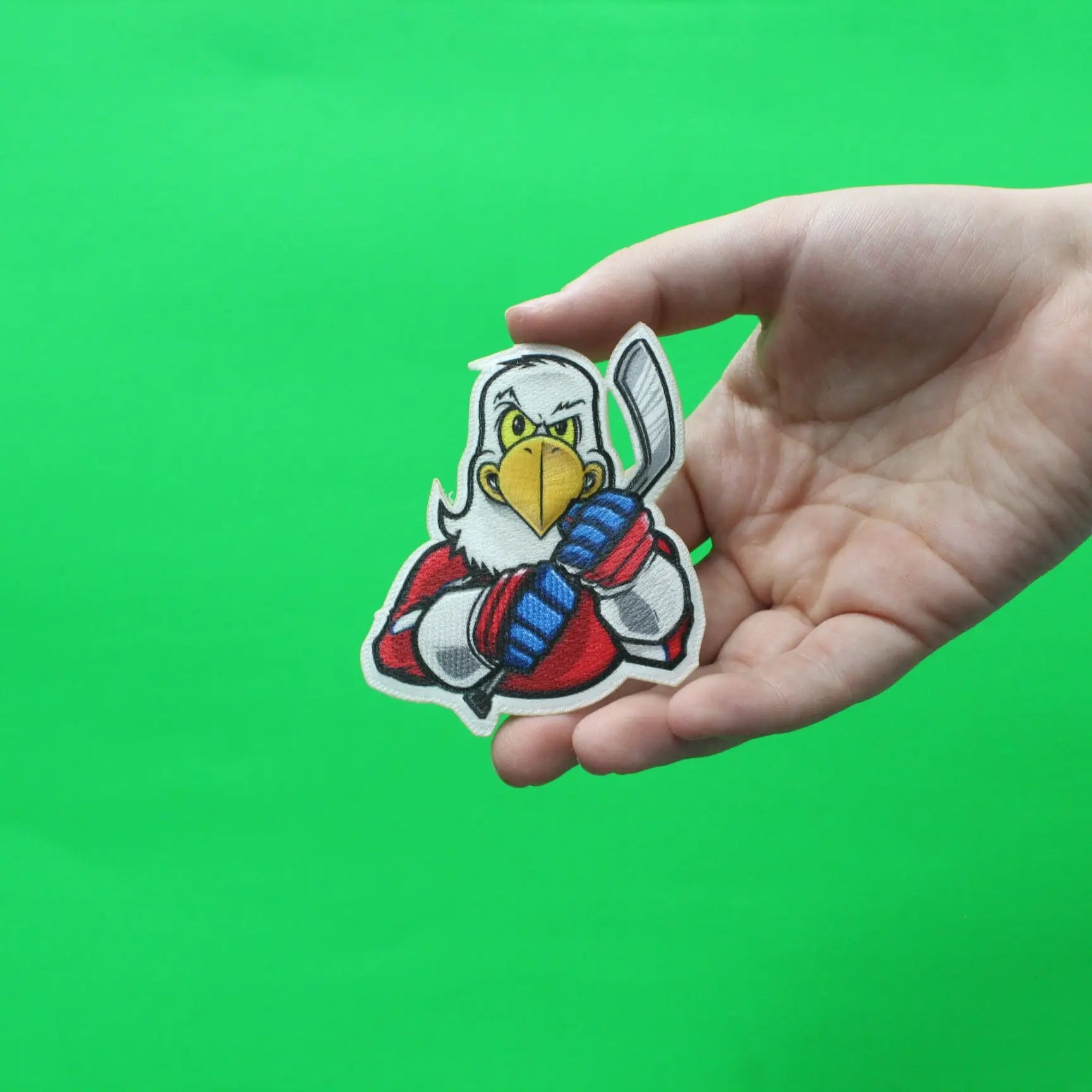 Washington D.C Bald Eagle FotoPatch Mascot Hockey Parody Embroidered Iron On 