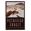 Petrified Forest National Park Patch Arizona Trailblazer Hike Sublimated Embroidery Iron On