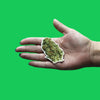 Weed Nug Textured Patch Smoke Stoner Medicinal Embroidered Iron On 