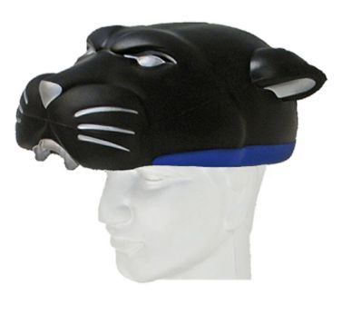 Carolina Panthers Team NFL Foamhead Helmet 